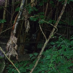 Sporthotel Fellhorst